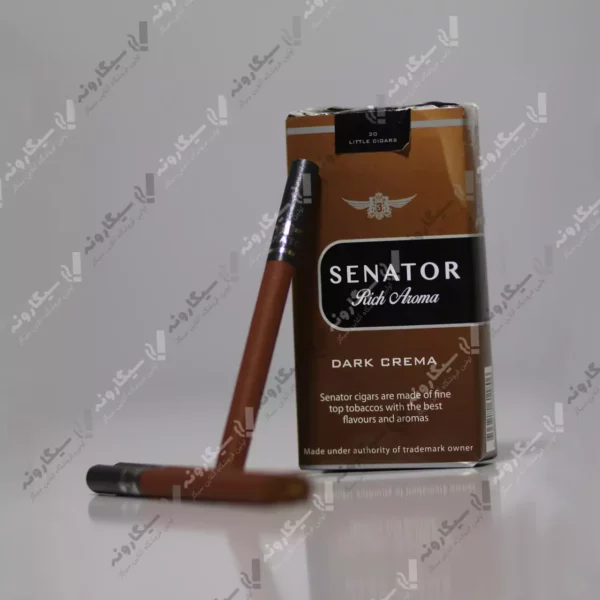 خرید سیگار سناتور شکلاتی کینگ سایز - senator chocolate king size cigarette